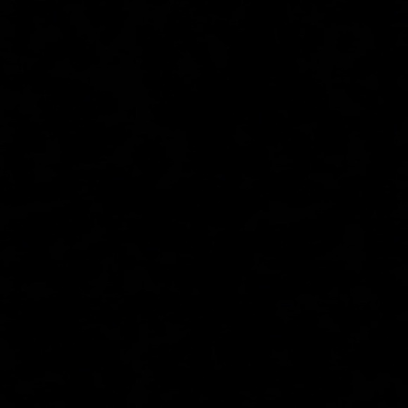 Meet your Posher, Erica - Picture 1 of 1